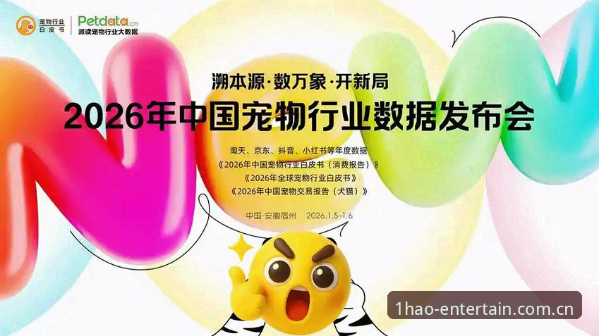 深度揭秘2026中国官方站伤停更新：凌晨数据背后的那些事儿
